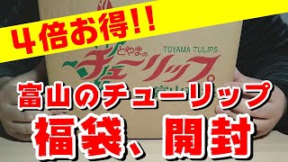 【富山のチューリップ】福袋開封！皇室献上品種も入っていて、お値段にして４倍お得！！