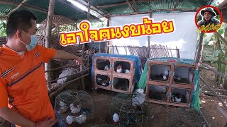 ไก่แจ้ เอาใจคนงบน้อย