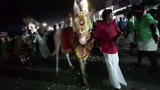 Aavudayarkovil Arulmigu Sri Muthu Marriamman Kovil