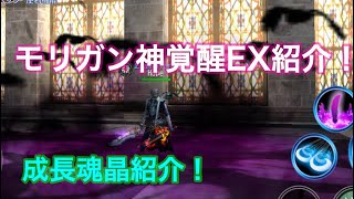 【アヴァベル】モリガン神覚醒EX.成長魂晶紹介！