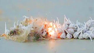 Airsoft bbs Hitting Firecrackers in Slow Motion