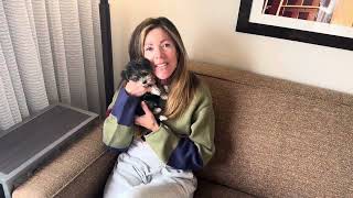 Park Meadows South - Marriott Courtyard - Hotel Review