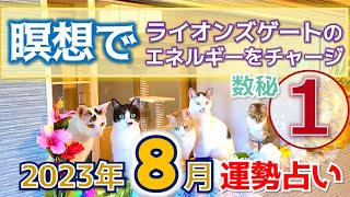 【数秘①】2023年8月運勢ライオンズゲート「瞑想で」エネルギーチャージ