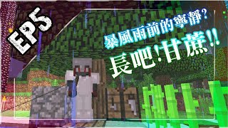 【巖覺GP】MC暮光森林生存(EP.5)休閒向全民釣魚樂