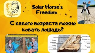 С какого возраста можно ковать лошадь?🤔 На вопросы отвечает коваль🙋🏼‍♀️