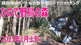 ひので野鳥の森自然公園の探鳥地レポートです　久々の訪問でサンショウクイ三昧！　2023年1月上旬