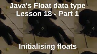 Java's Float data type Lesson 18 - Part 1 - Initialising floats #java #programming #programação