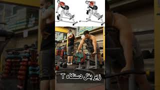 زیر بغل دستگاه T #بدنسازی #shorts #bodybuilding #fitness #bodybuilder