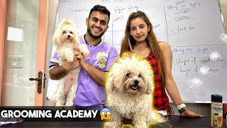 International Dog Grooming Academy in Delhi (India) 🐶😱