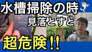 【知らないとヤバい】水槽掃除で見落としやすい"5つの掃除場所"