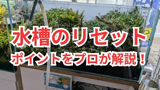 水槽をリセットする際のポイントを解説します。