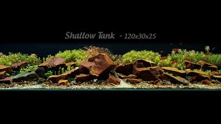 Making of shallow tank 120x30x25