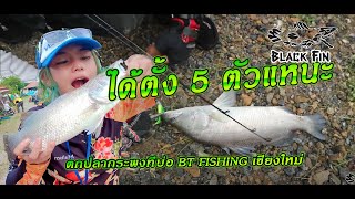 ตกปลากระพงน้ำเดือด ที่บ่อ BT fishing @เชียงใหม่ 4/10/63