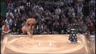 【稀な勢い】2013年大相撲九州場所ED（職人さん制作）【欧州の終わり、太陽の馬】