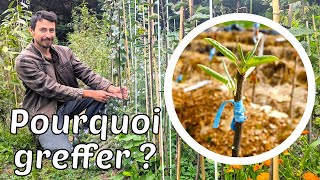 Pourquoi on GREFFE les arbres fruitiers - 3 raisons