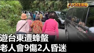 遊台東遭蜂螫 老人會9傷2人昏迷 |【民生八方事】| 2023110801 @gtvnews27