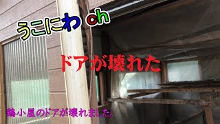 鶏小屋のドアが壊れたので作成と交換