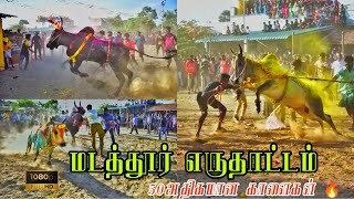 மடத்தூர் எருதாட்டம் 50அதிகமான காளைகள்/jallikattu/jallikattu festivel/bulls....