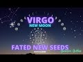 VIRGO NEW MOON 