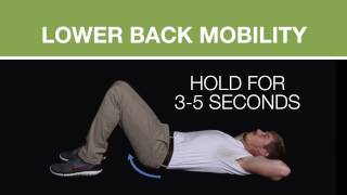 Preventing and Relieving Back Pain (PAMI)