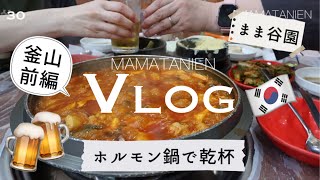 No30 ホルモン鍋！コプチャンチョンゴル(곱창전골)とソジュ(서주)で乾杯🍻