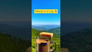 Peace in a cup ☕️ #trending #youtubeshorts #viral #shorts #tea #mountains