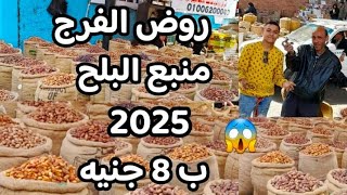 ضربه قاضيه # لكل تجار البلح 2025 انخفاض8 ج البلح معقوله يوصل بسعر ده وياميش رمضان مش هتصدقوا الاسعار