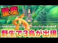 【超低確率】野生で準伝「3鳥」が出て量産できてヤバすぎたww【ポケットモンスター Let's Go! ピカチュウ・Let's Go! イーブイ】