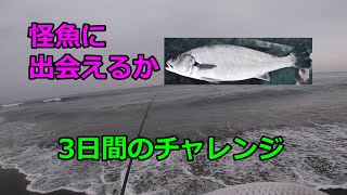 オオニベを求めて3日間の記録！最終日