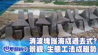 消波塊防護海岸成過去式？兼具景觀.生態工法成趨勢 世界翻轉中 20220320