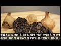 흑마늘을 먹었더니 생긴 놀라운 효능ㅣ흑마늘효능ㅣ흑마늘건강ㅣ흑마늘만드는법ㅣ흑마늘부작용