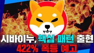 시바이누,핵심 패턴 출현…422% 폭등 예고