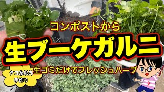 香凄い‼手作【生】ブーケガルニ.コンポストのメンテと共に#料理 #簡単レシピ #コンポスト #compost #農業 #堆肥 #sdgs #ハーブ #家庭菜園