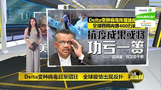 Delta变种病毒肆意入侵 疫情快要失控了? | 八点最热报 02/08/2021| #KauBoleh