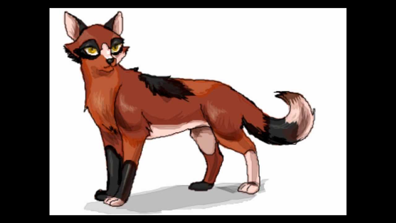 How To Draw Spottedleaf Youtube