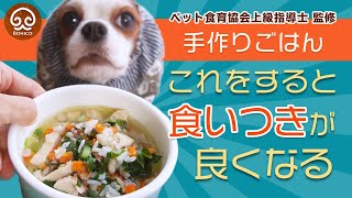 【Dog homemade food】Tips for eating deliciously
