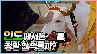 인도에서는 소를 정말 안 먹을까?