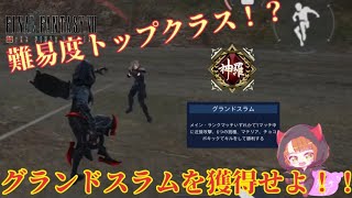 【FF7FS】激むず称号グランドスラムまでの道のり