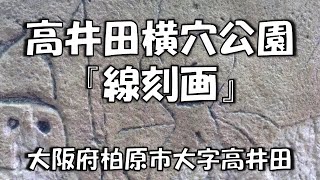 高井田横穴古墳（柏原市） Takaidayokoana-kofun (Kashiwara city)