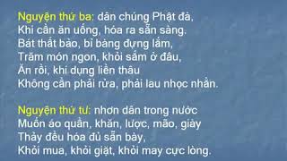 48 Lời Nguyện của Đức Phật A Di Đà   Thầy Thích Trí Thoát tụng   có chữ