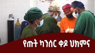 የጡት ካንሰር ቀዶ ህክምናን በተለያዩ የህክምና ተቋማት በስፋት ተደራሽ ለማድረግ እንደሚሰራ ተገለጸ፡፡