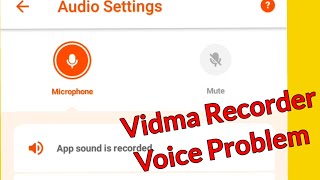 Vidma Recorder Voice \u0026 Sound Problem Solve