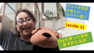 アニータ先生の楽しいスペイン語♪ーLección11 hayを使った表現／基本的な名詞