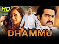 Dhammu (Dammu) South Superhit Action Movie | Jr. NTR, Trisha Krishnan, Karthika Nair, Brahmanandam