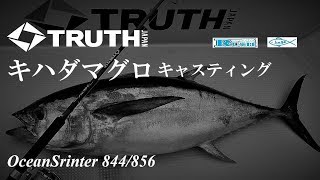 千葉県沖 キハダマグロキャスティング 2019 夏のナブラ打ち TRUTH JAPAN / RUSH / hage