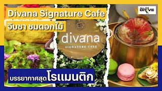 All We Drive | EP.39 | Divana Signature Cafe ผ่อนคลายท่ามกลางสวนดอกไม้สุดโรแมนติก Central world[2/3]