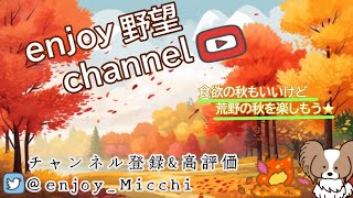 12/23（土）夜Ver.【荒野行動/視聴者参加型LIVE配信】みっちゃん実況(*^^)v 24時からは無言配信やる時がありますw※概要欄必読してから遊びにきてね♪