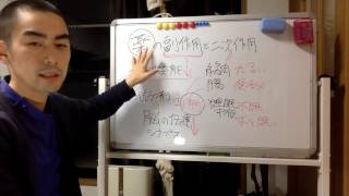 【閲覧注意】薬の主作用、二次作用、副作用を日本一わかりやすく解説