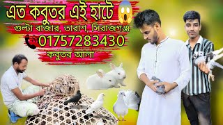 এত কবুতর এই হাটে 😱😱 দেশি বিদেশি নানা রকম কবুতর বিক্রি করা হয় খুব অল্প দামে 😱