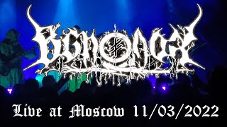 VSPOLOKH — Live in Moscow 11/03/2022